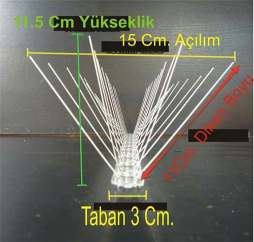 KUŞKONMAZ 50 cm
